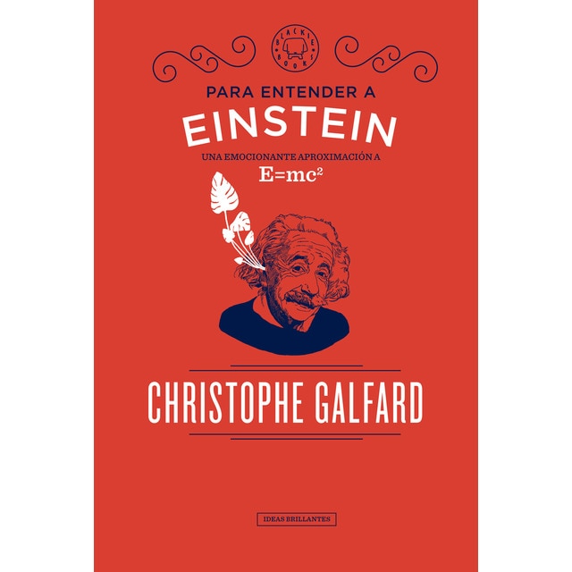 Para entender a einstein.pdf