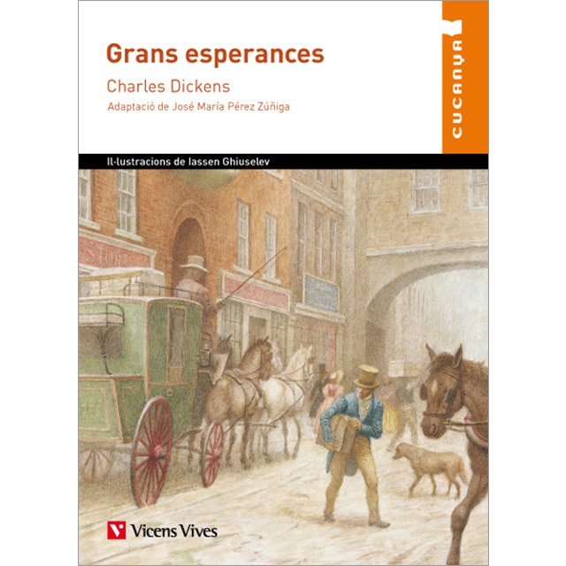 Grans Esperances (Tapa blanda)