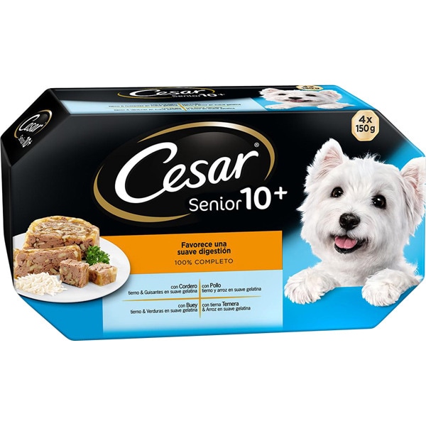 cesar dog food senior