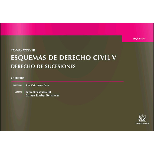 Tomo xxxviii esquemas de derecho civil v derecho de sucesiones 2ª edición 2016.pdf