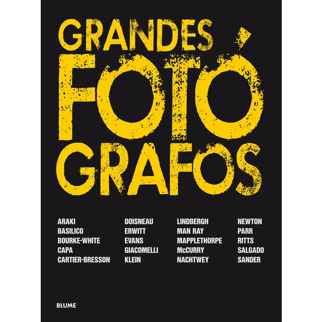 Grandes fotógrafos (2017)