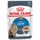 ROYAL CANIN Ultra Light cat food in jelly for adult cats sachet 85 g