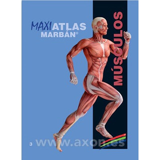 Musculos.pdf