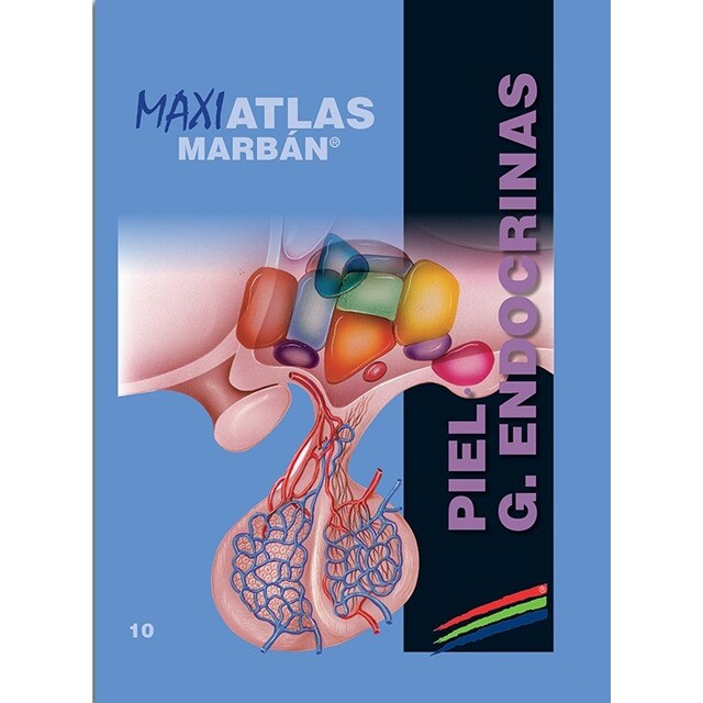 Piel - g. Endocrinas.pdf