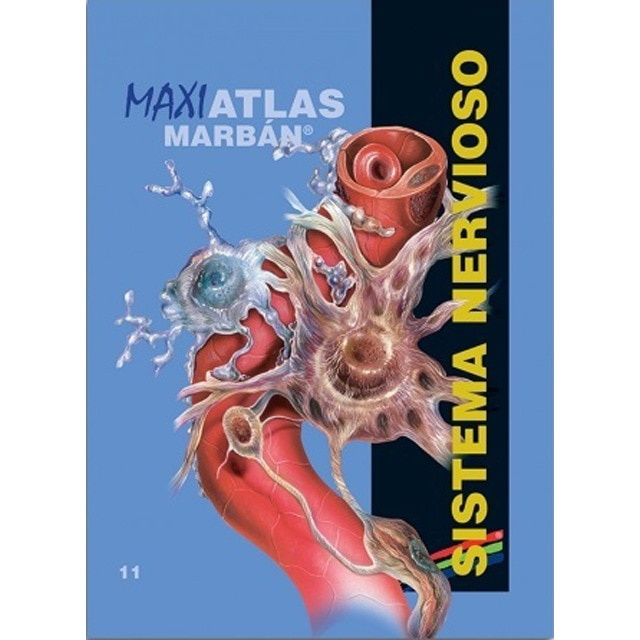 Sistema nervioso.pdf