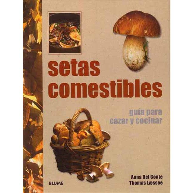 Setas comestibles.pdf