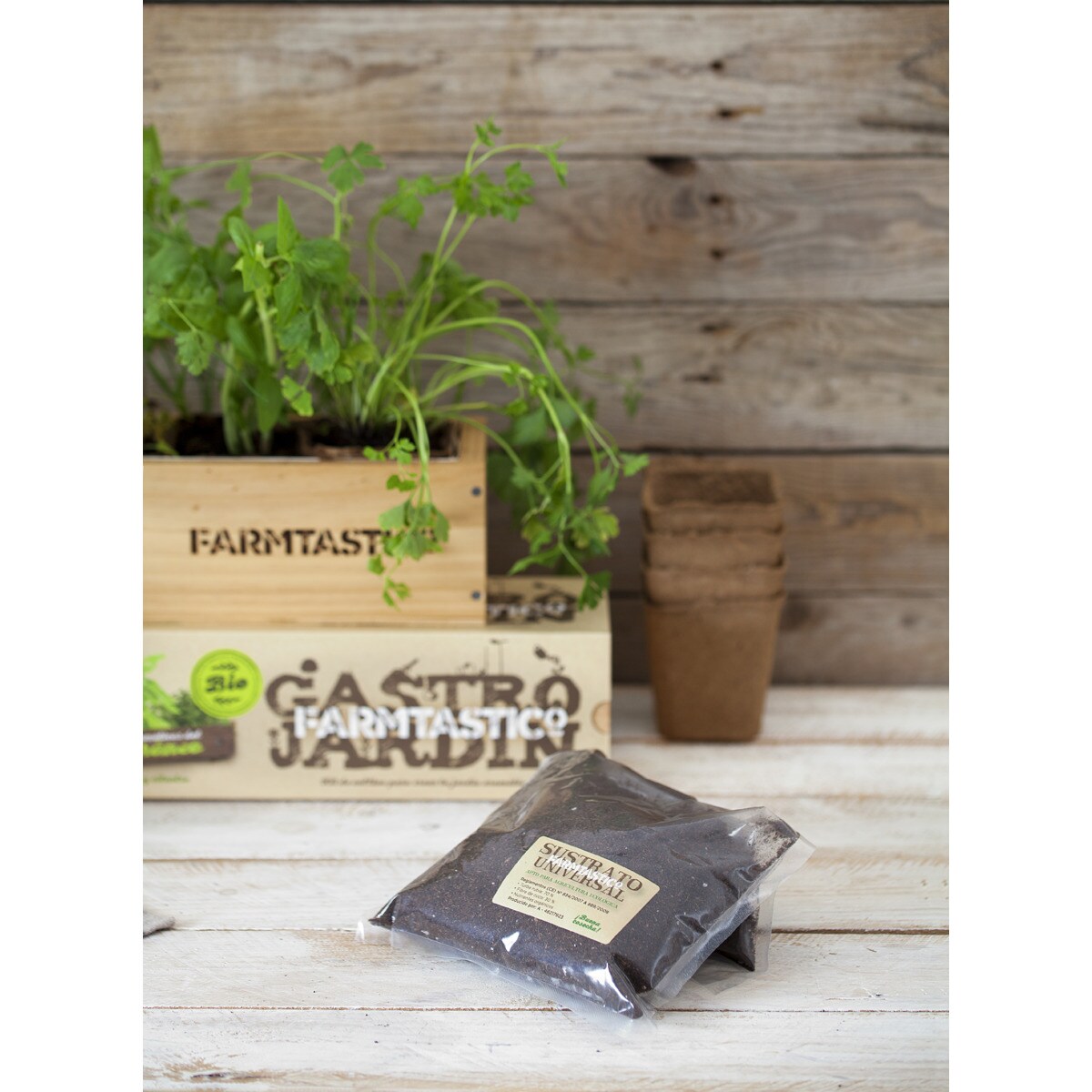 Kit de semeadura de ervas aromáticas do Mediterrâneo 3