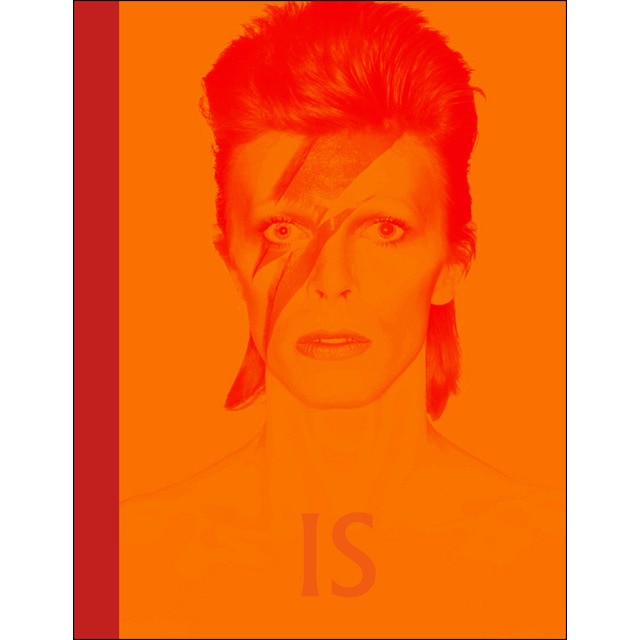 David bowie is inside.pdf