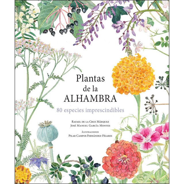 Plantas de la alhambra.pdf
