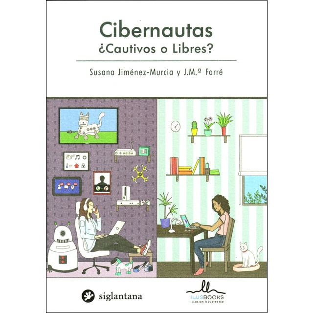 L minas de dibujo: botero (Tapa blanda)