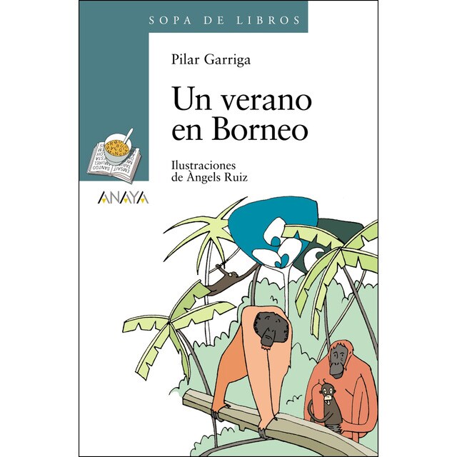 Un verano en borneo (Tapa blanda)