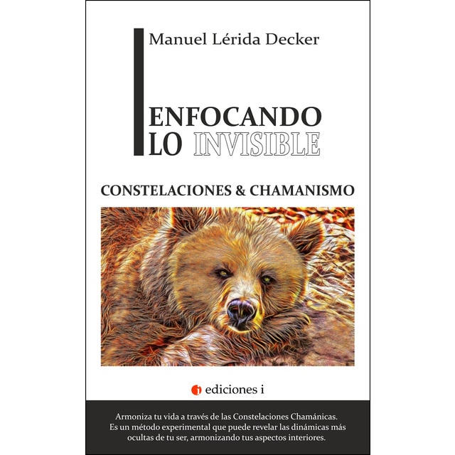 Enfocando lo invisible (Tapa blanda)