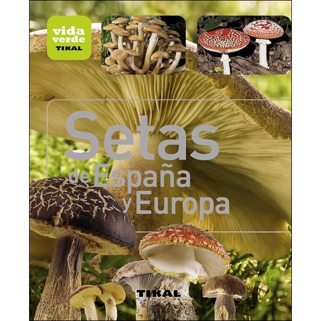 Setas de españa y europa.pdf