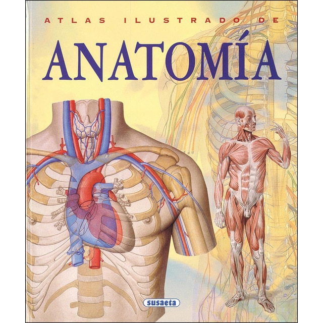Anatomía.pdf