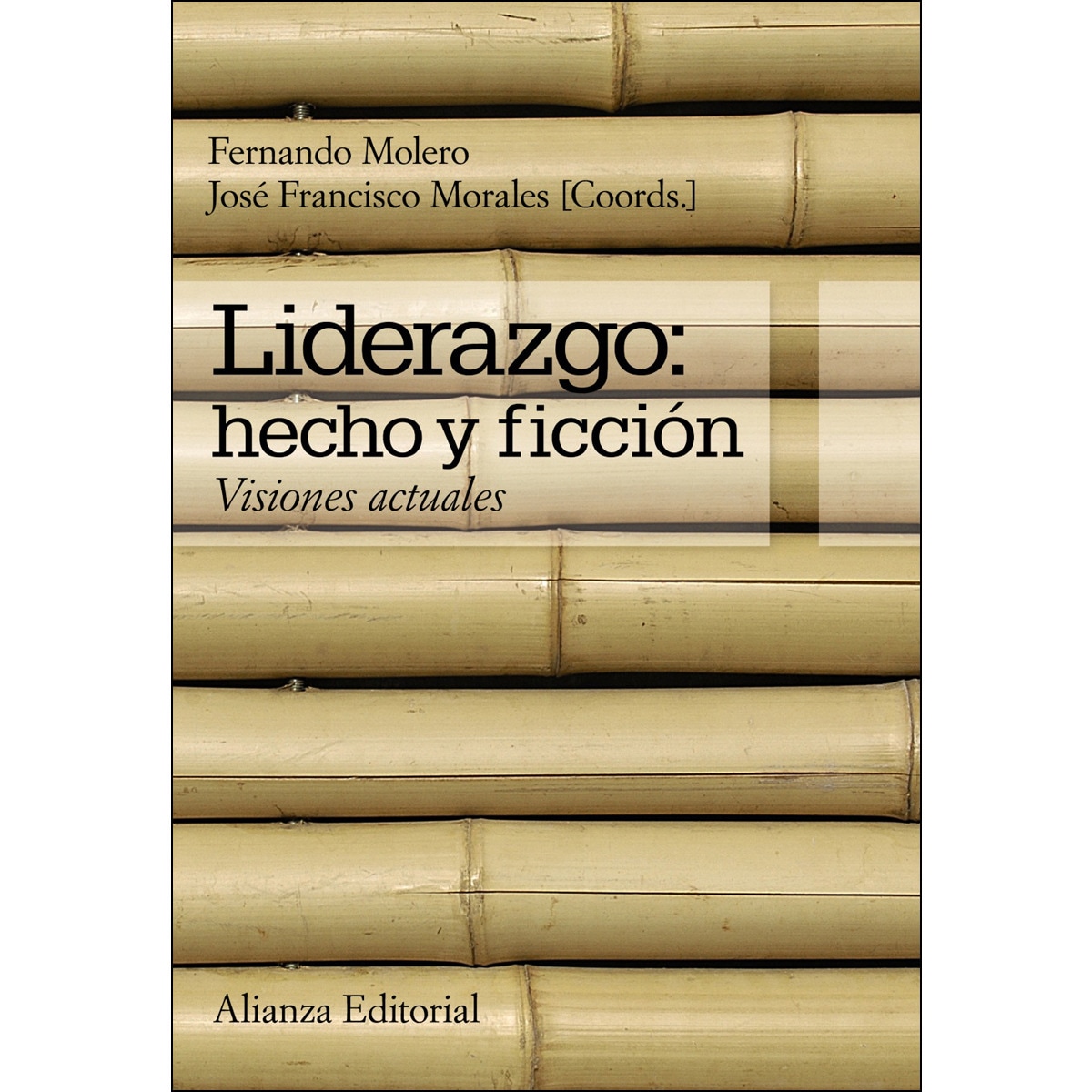 Imagem 0 de Liderazgo: hecho y ficción: Visiones actuales (Capa mole com abas)