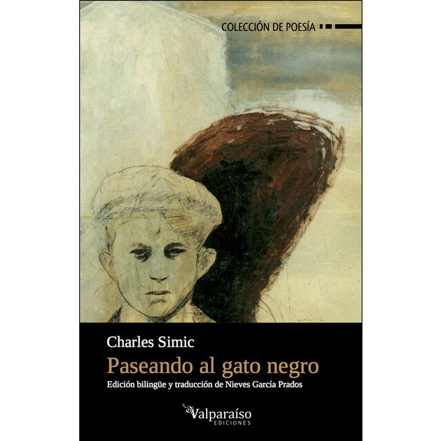Paseando al gato negro.pdf