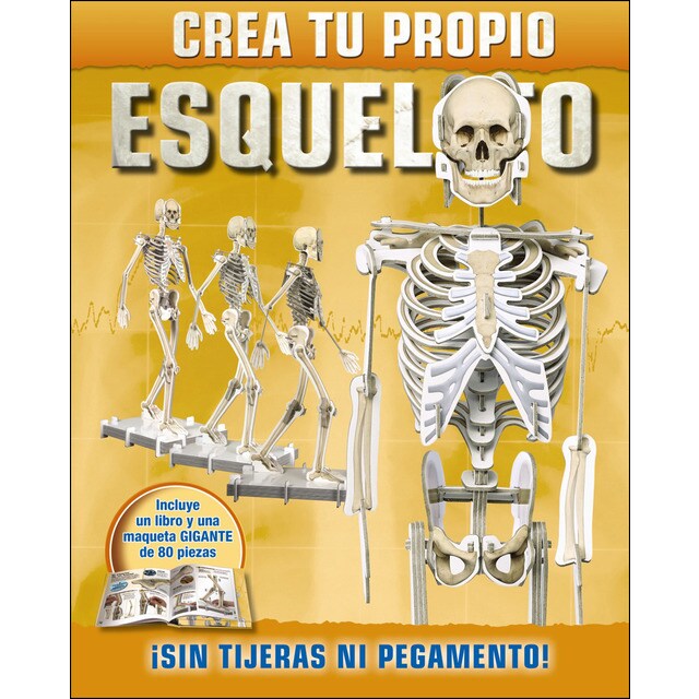 Crea tu propio esqueleto.pdf