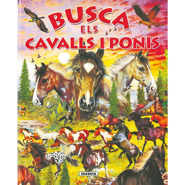 Busca els cavalls i ponis (Tapa dura)