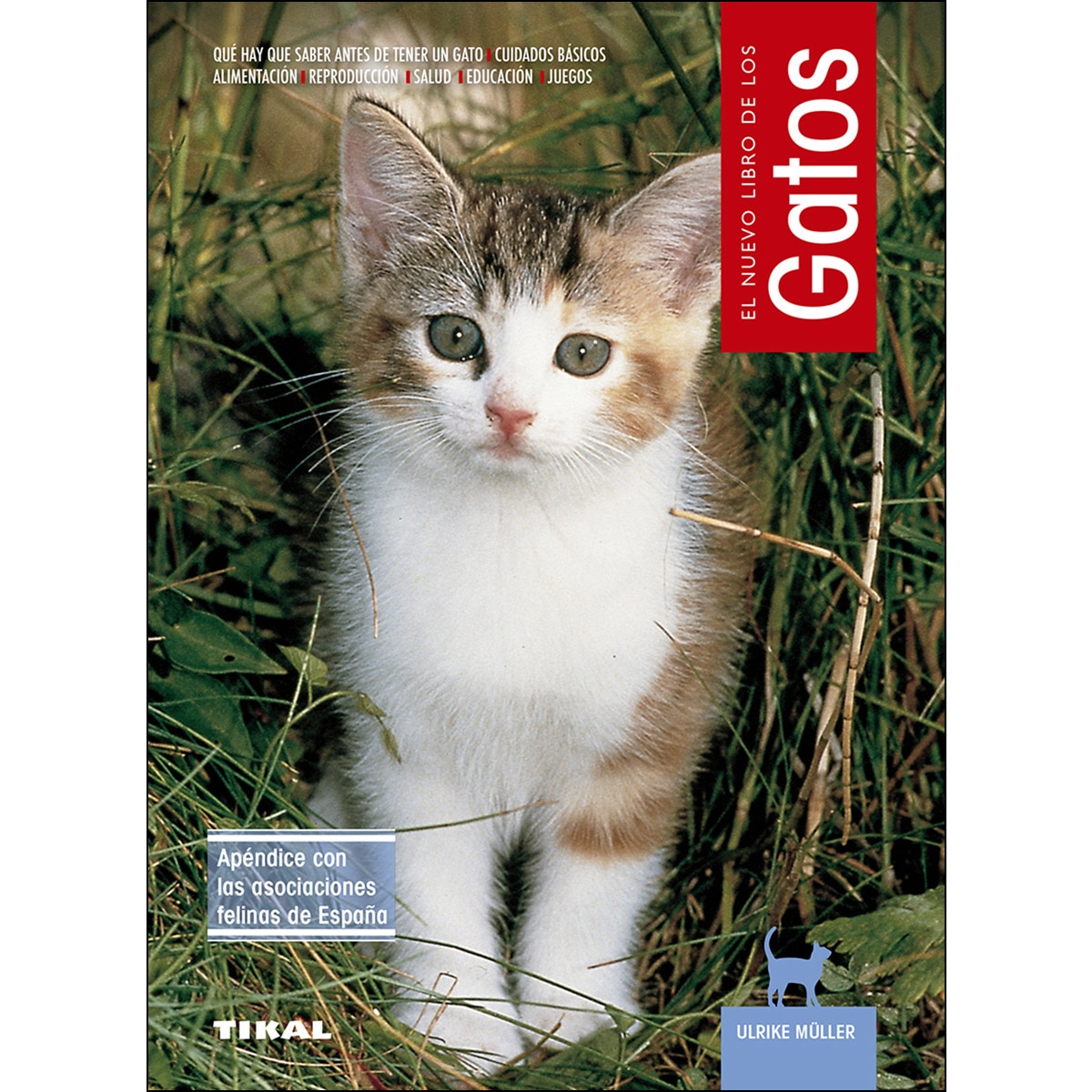 Gatos