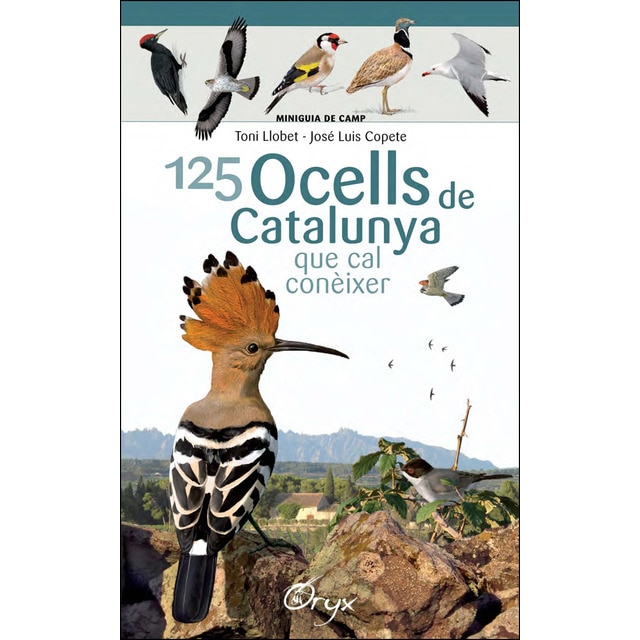 125 ocells de catalunya: Que cal conèixer.pdf