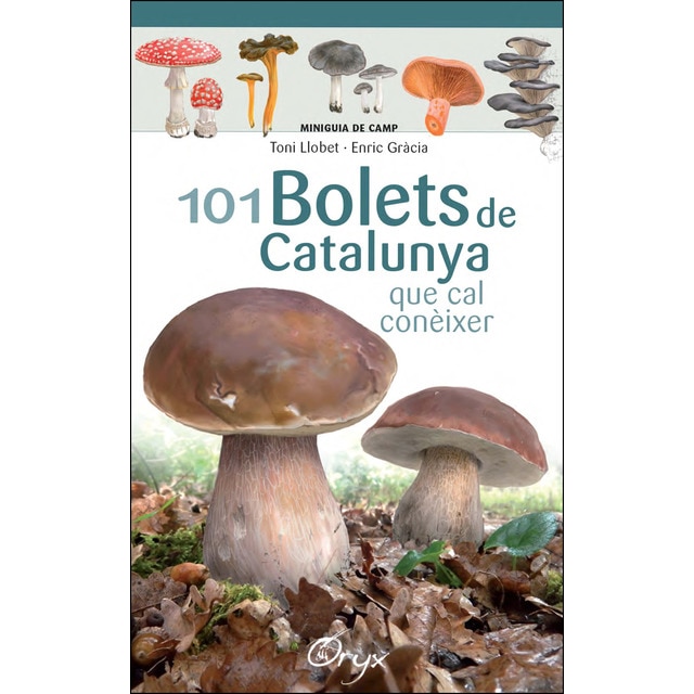 101 bolets de catalunya: Que cal conèixer.pdf