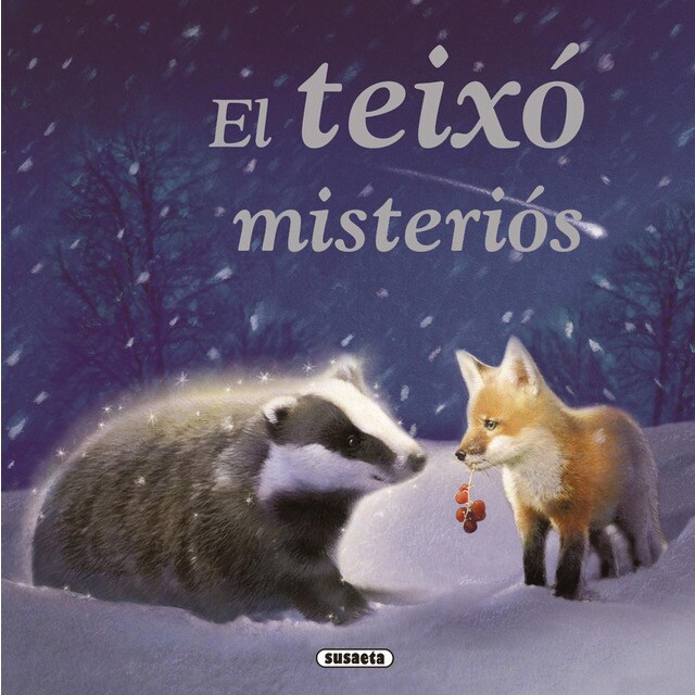 El teixó misteriós (Tapa blanda)