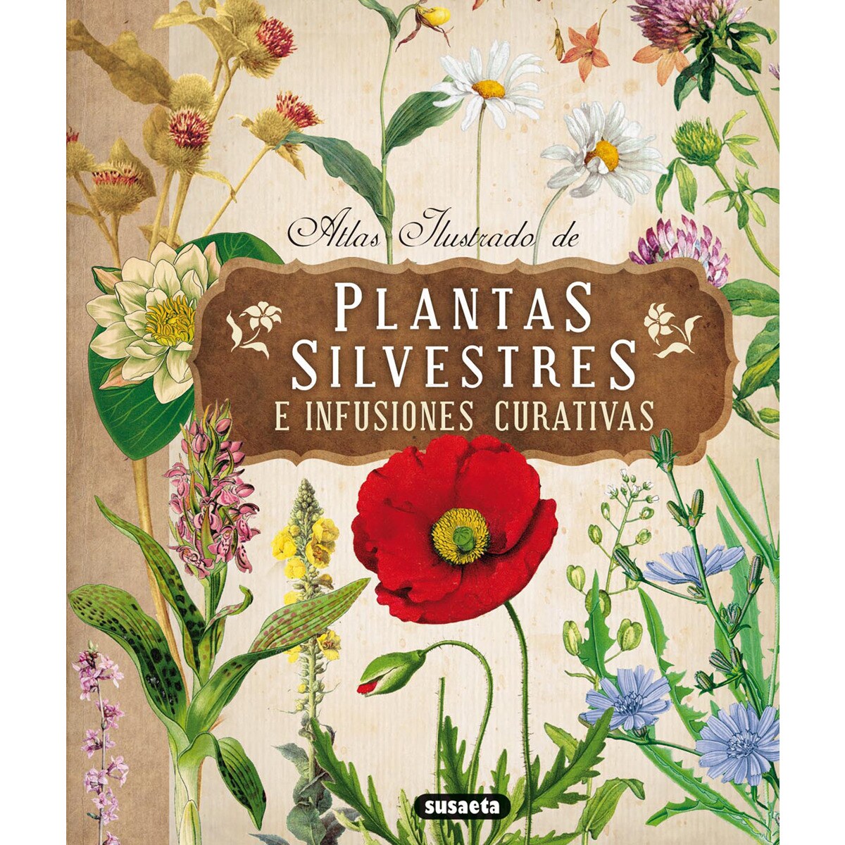 Plantas silvestres e infusiones curativas (Tapa dura).