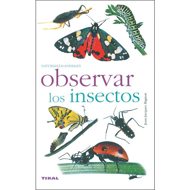 Observar los insectos.pdf