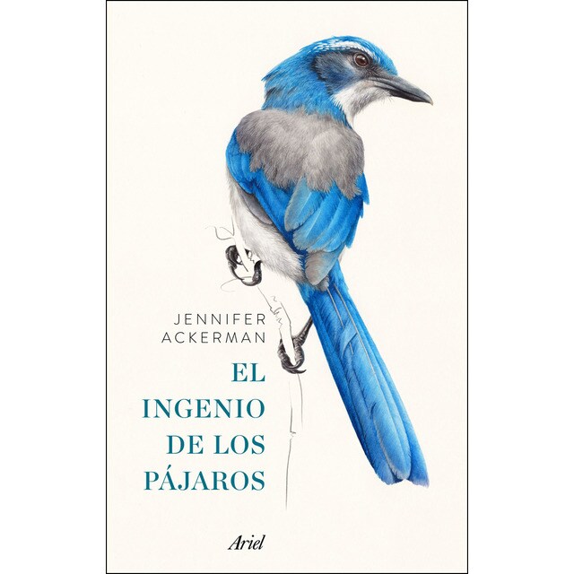 Pack el ingenio de los pájaros.pdf