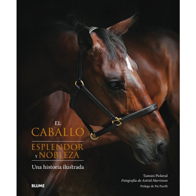 Caballo. Esplendor y nobleza