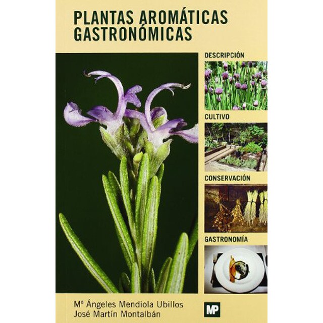Plantas aromáticas gastronómicas