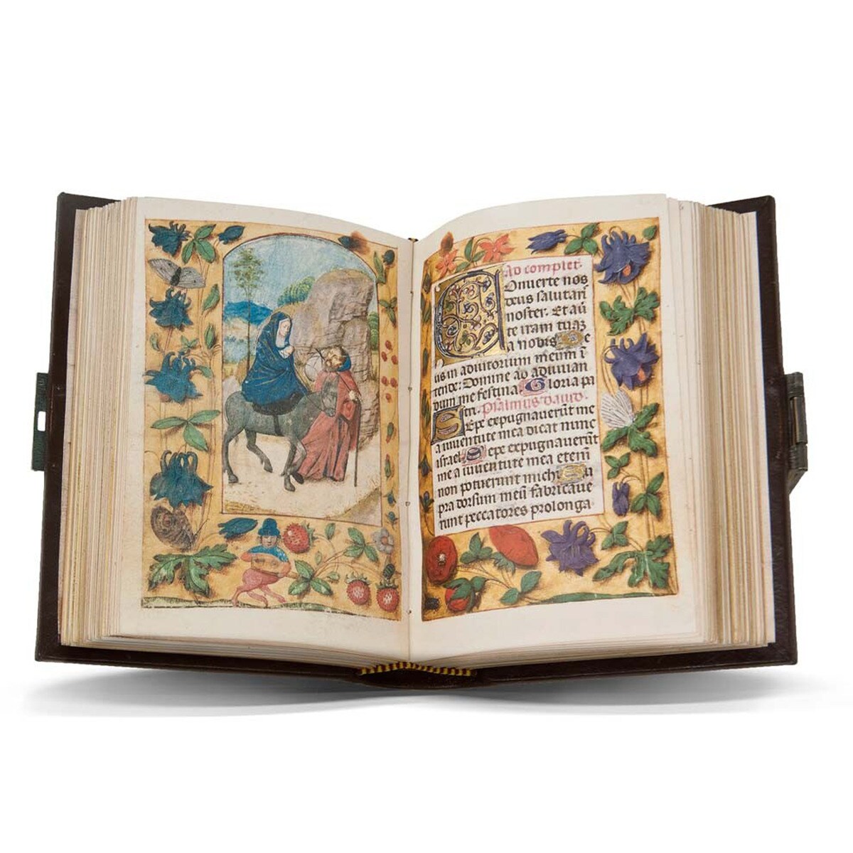 Imagem 0 de Liber Horarum De Gerard David (S. Xv) (Piel)