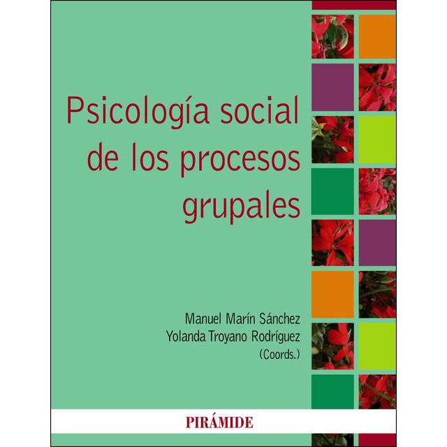 Psicología social de los procesos grupales (Tapa blanda)