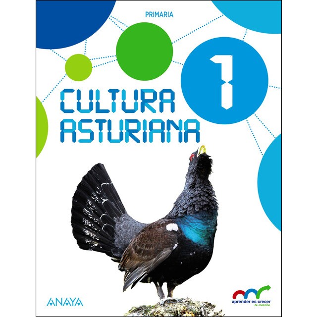 Cultura asturiana 1..pdf