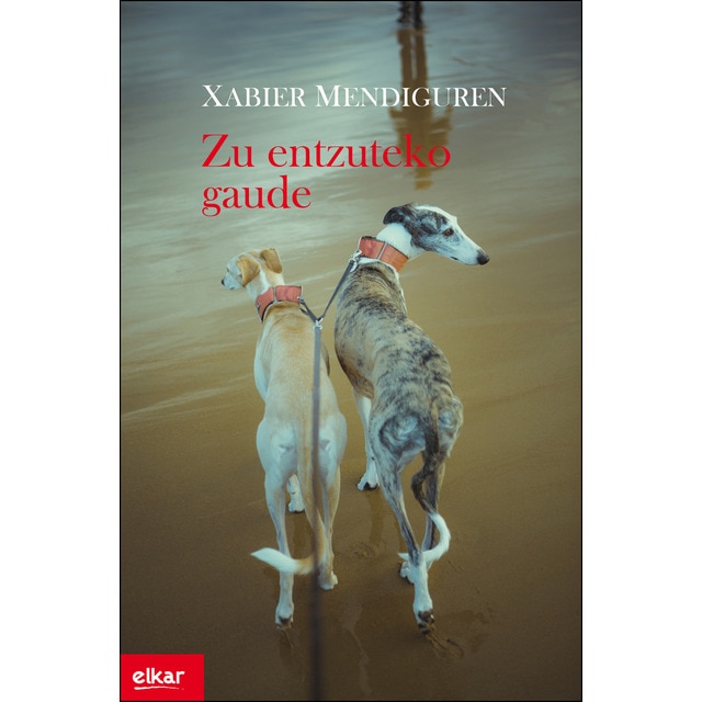 Zu entzuteko gaude (Tapa blanda)