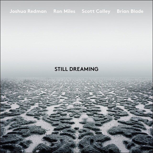 Still dreaming CD