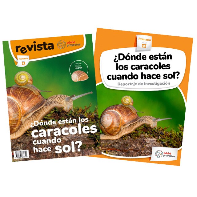 ¿DÓNDE ESTÁN LOS CARACOLES CUANDO HACE SOL? (Reportaje de investigación) (Tapa blanda)