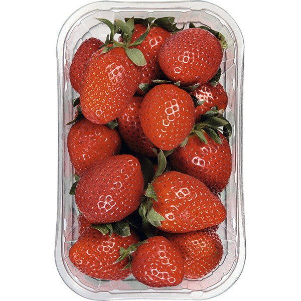 strawberry tub 500 g