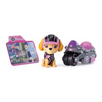 mini vehiculos patrulla canina
