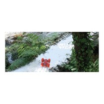 coche radiocontrol aquabound ninco
