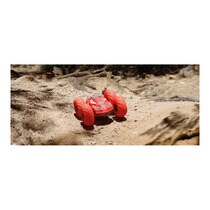 coche radiocontrol aquabound ninco