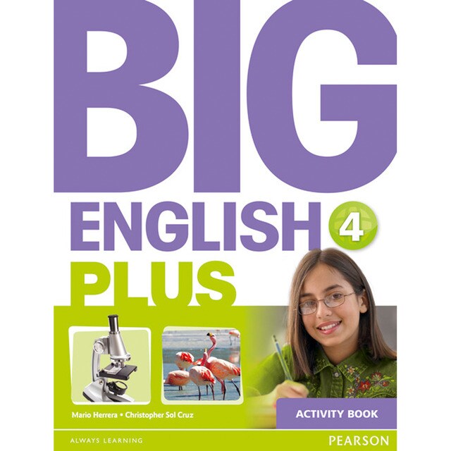 Big English Plus 4 Activity Book (Tapa blanda)