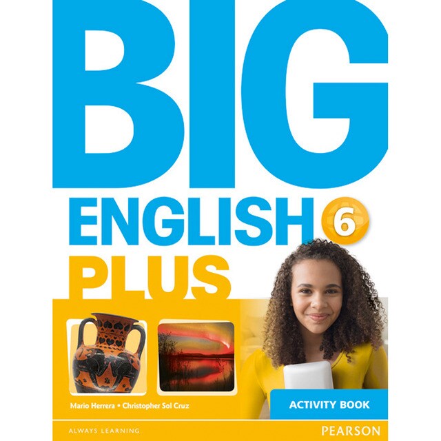 Big English Plus 6 Activity Book (Tapa blanda)