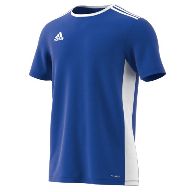 Adidas Entrada 18 men's T-shirt