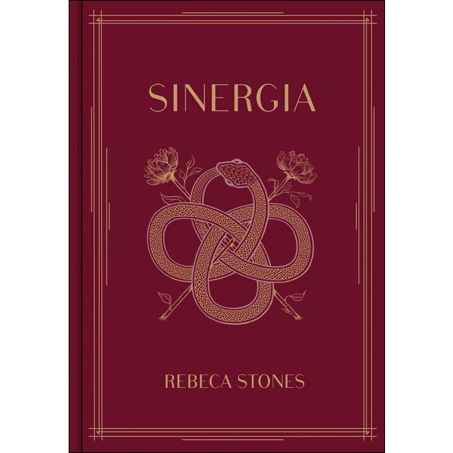 Sinergia.pdf