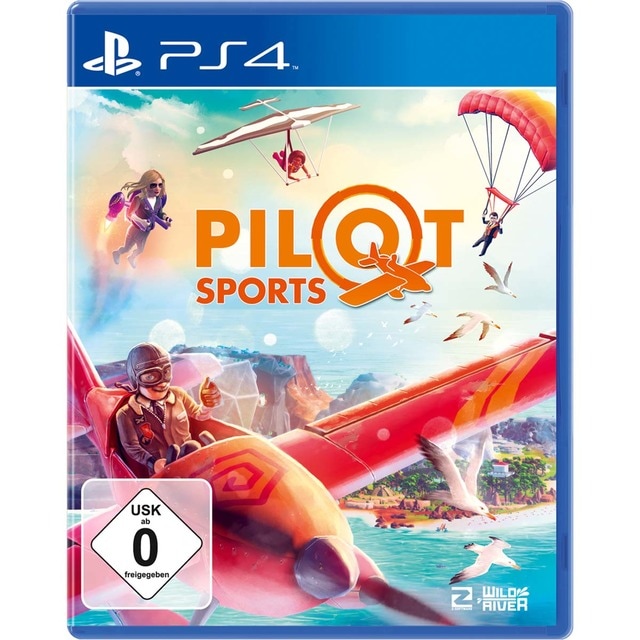 Pilot Sports PS4