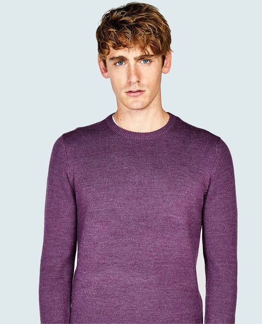 mens purple crew neck sweater