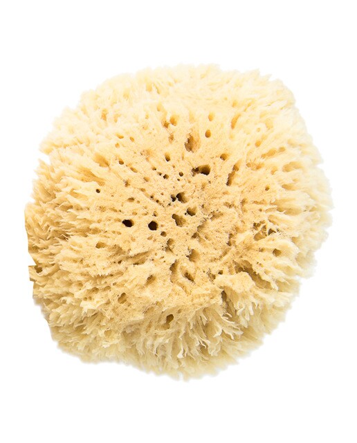 Esponja natural de mar Venecia Relax Nature