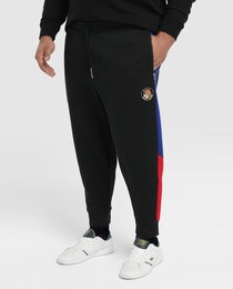 ralph lauren big and tall tracksuit