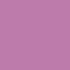 Lilac Lotus 02